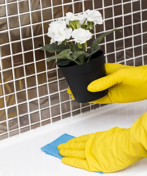 Tile & Grout Cleaning